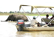 Selous Game Reserve