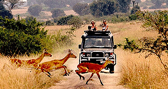 Semiliki National Park