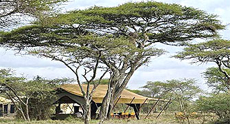 Serengeti Under Canvas Camps 