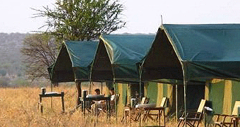 Serengeti Wild Camp