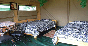 Serengeti Wild Camp