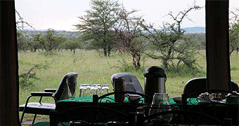 Serengeti Wild Camp