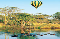 Serengeti Balloon