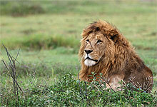 Serengeti National Park