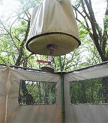 Serengeti Under Canvas Camp