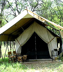 Serengeti Under Canvas Camps 