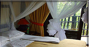Shimba Hills National Park