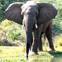 Shimba Hills National Park