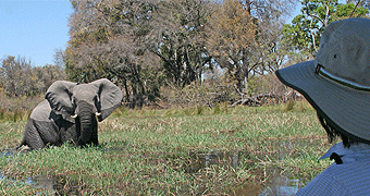 Shimba Hills National Park