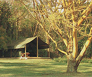 Siana Springs Intrepids Camp