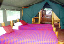 Siana Springs Tented Camp, Maasai Mara, Kenya 