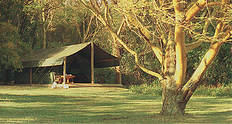 Siana Springs Tented Camp