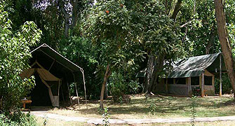 Siana Springs Tented Camp