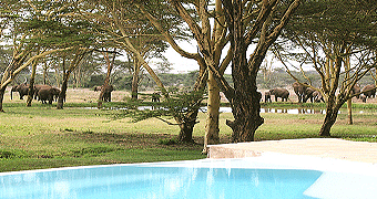 Sirikoi Tented Camp
