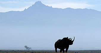 Solio Lodge
