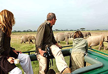Student educational Tours