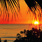 Wasini Island Sunset Cruise