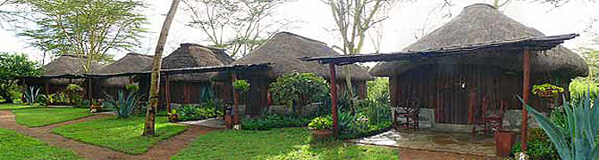 Swara Plains Acacia Camp