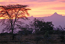 Sweetwaters Serena Tented Camp, Mt. Kenya