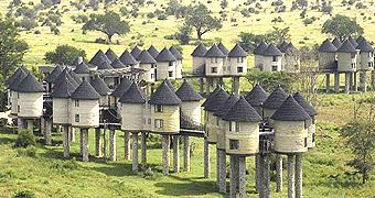Taita Hills Wildlife Sanctuary