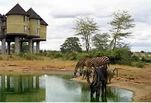 Taita Hills Game Sanctuary - Taita Salt Lick Lodge - Kenya
