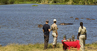 Tanzania Flying Safaris