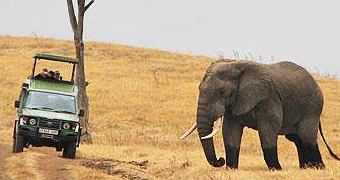 Tanzania Flying Safaris