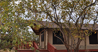 Tarangire Balloon Safari Camp