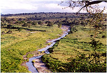 Tarangire River in Tarangire National Park