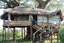Tarangire Treetops Lodge