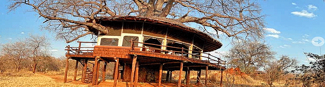 Tarangire Treetops Lodge