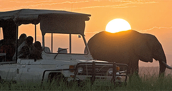 Tawi Lodge Amboseli Flying 