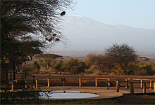 Tawi Lodge Amboseli, Kenya 