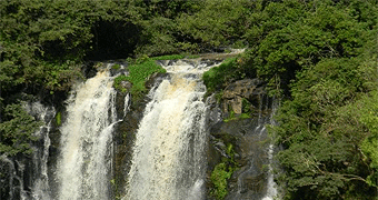 Thomson Falls