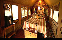Tortilis Camp
