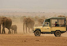 Game Drives Amboseli National Park at Tortilis Camp 