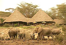 Tortilis Camp Water Hole, Amboseli Kenya