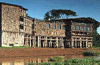 Treetops Lodge 