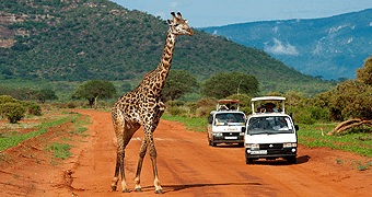 Tsavo Day trip