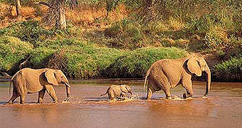Tsavo East National Park