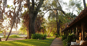 Tsavo Safari Camp