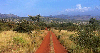 Tsavo West National Park Safari