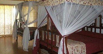Tsavo safari 