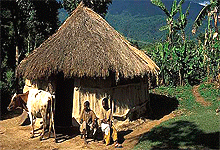 Village Ng'iresi