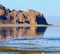 Lake Baringo , Kenya