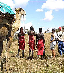 walking safari 