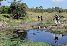 walking Safari Holidays
