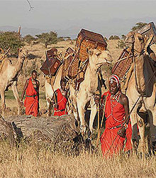 walking safari 