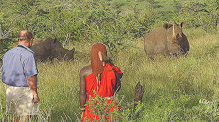 Walking Safari 