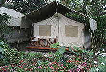 Wildebeest Camp Camping Tent in Nairobi, Kenya 